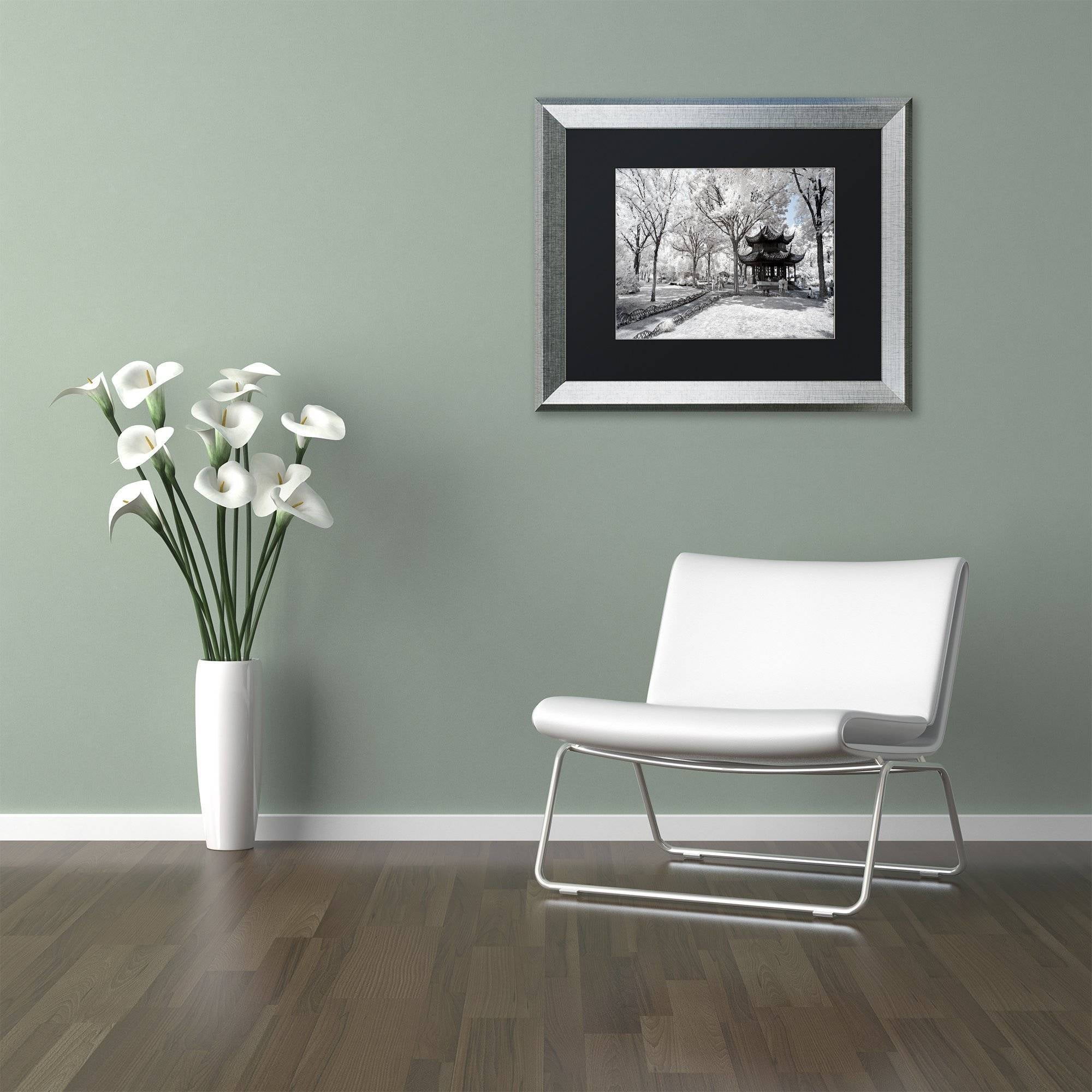 Trademark Fine Art "Coldness" Canvas Art by Philippe Hugonnard, Black Matte, Silver Frame