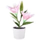 thumbnail image 1 of Jadeshay Lámpara de Flores Artificiales, lámpara de Lirio Artificial LED Solar, Plantas Falsas de Interior con luz LED para decoración del hogar, 1 of 12