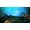 Aquarium, variant on Coral Reef Canvas Art Deep Ocean Picture Wall Art Blue Sea Framed Painting Wall Decor For Home Office Bedroom Reeady to Hang