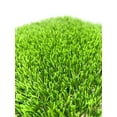 thumbnail image 2 of Trylawnturf Mirage artificial landscaping turf - 6-ftx10-ft, 2 of 4