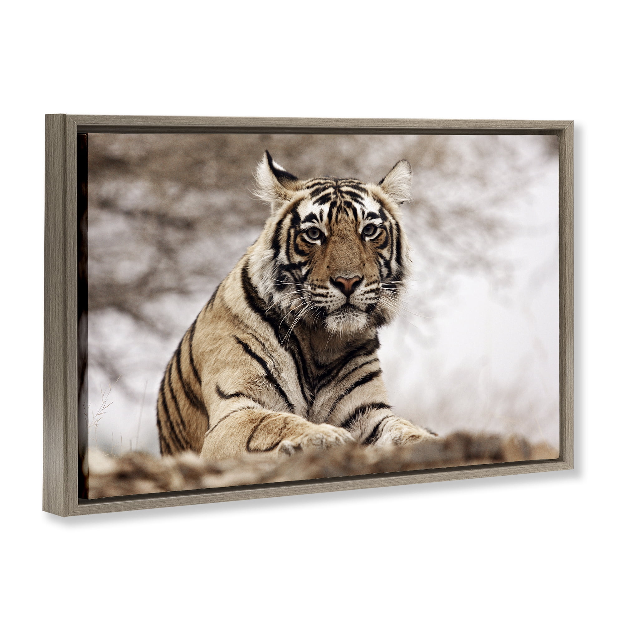 Stupell Industries Strong Tiger Atop Hill Animals & Insects Photography Brown Floater Framed Canvas Art Print Wall Art, 25 x 17