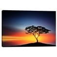 thumbnail image 2 of Epic Graffiti 'The Soft Twilight' Canvas Wall Art, 26" x 40", 2 of 2