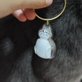 thumbnail image 3 of Lttoisl Transparent Cat Hair Storage Bottle Keychain, Pet Hair Memorial Keepsake Pendant Box, PVC Feline Fur Collection Holder, Unique Pet Lover Gift, 1.95 inch Compact Size, 3 of 8
