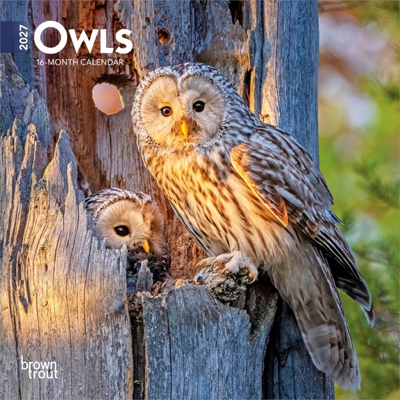Owls | 2027 7x14" (Hanging) Mini Wall Calendar | BrownTrout
