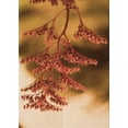 thumbnail image 1 of Ahgly Company Tapis Rectangulaire d'Intérieur Lavable en Machine Orange Transitionnel, 5 Pieds x 7 Pieds, 1 of 7