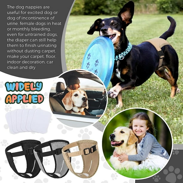 Dog maxi pads online