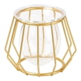 thumbnail image 1 of 3D Geometric Tabletop Flower Vase, Terrarium Air Plant Holder Glass Display Planter Table Centerpiece Flower Pot Style01, 1 of 8