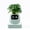 Green, Gen 2, variant on ITIGOITIE Smart Flowerpot with Artificial Intelligence, Time & Temperature Display, Multiple Expressions, Ideal for Indoor Decoration & Gifts (Pink, Gen 2)