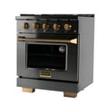 thumbnail image 3 of Gemstone Professional 30-in Natural Gas Range in Titanium Stainless Steel, 3 of 14