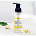J.R. Watkins Foam Hand Soap, Lemon, 9 oz