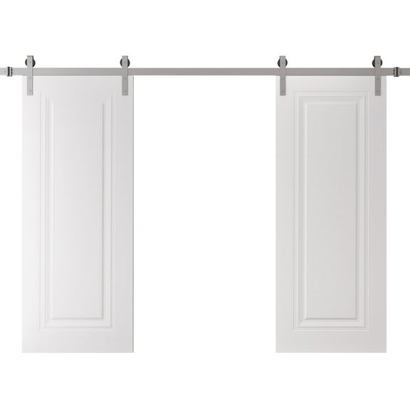 Double Barn Door 36 x 80 inches | SELECT 1119 White | 13FT Silver Rail Track Set | Solid Panel Interior Doors