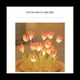 thumbnail image 3 of Luz de Noche de Tulipanes Hecha a Mano DIY TulipáN NiñA Sala de Estar Luz de Noche Luz de Escritorio LáMpara de RomáNtico-Amarillo, 3 of 10