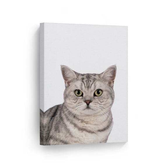 Smile Art Design Portrait of Cute Brazilian Shorthair Cat Animal Canvas Wall Art Print Pet Owner Cat Lover Mom Dad Gift Office Living Room Bedroom Kids Baby Nursery Room Decor - 40x30