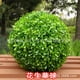thumbnail image 5 of leyfeng Bola de hierba de alta simulación, adornos de bola de hierba de plástico de Milán, decoración 4S, tienda, centro comercial, bar, 5 of 5