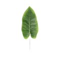 thumbnail image 2 of Simulación de hoja de sandía, planta artificial, material de arreglo floral para pared, marco de escalada para gatos, simulación de decoración Canna, 2 of 5