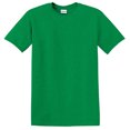 thumbnail image 1 of Gildan Gd 5000 5,3 Oz Coton Épais Ss T, 1 of 1