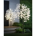thumbnail image 2 of Weeping Cherry Tree 84 LED Lights, 6', 2 of 3