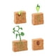 thumbnail image 1 of Ciclo de vida de la planta de judía verde, regalo Montessori, juguete de desarrollo, modelo de ciclo de vida de planta agrícola, figura para niños en, 1 of 10