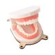 thumbnail image 3 of Juguete de Aprendizaje perfke Cepillado de dientes Modelo Material didáctico tablero ocupado, 3 of 9