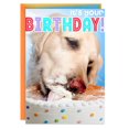 thumbnail image 1 of Hallmark Birthday Card, 1 of 6