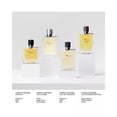 thumbnail image 3 of Perfume Hermès Terre D'Hermes Eau Intense Vetiver EDP 50 ml para Hombre, 3 of 3