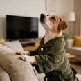 thumbnail image 3 of 1Pc Pet Bathrobe, Coral Fleece Dog Cat Robe With Absorbent Quick-Dry Material, Solid Color Xl Size Pet Bath Towel For Bathing Drying Grooming, 3 of 4