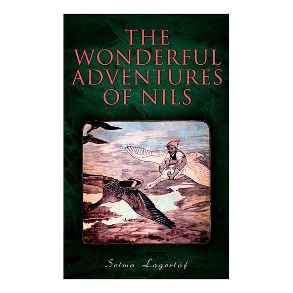 The Wonderful Adventures of Nils