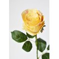 thumbnail image 4 of 22" Faux Large Rose Bud Stem Yellow, 4 of 6