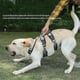 thumbnail image 4 of Explosionproof Big Dogs Harness with Handle Adjustable Pet Chest Straps for Large Dog, Black, M, 4 of 4