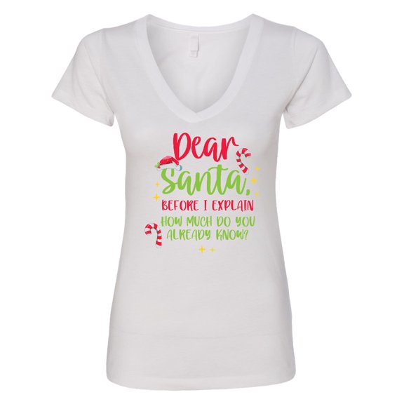 Inktastic Christmas Dear, Santa Before I Explain How Much Do You Know? Women's V-Neck T-Shirt