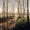 style2, variant on Paint by Number DIY Paint by Numbers Kit for Kids & Adults Beginner DIY Acrylic Painting Kits, 16x20 inch (Forest)