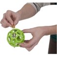 thumbnail image 4 of JW Pet Company Activitoys HOL-ee Roller Bird Toy, 4 of 8