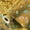 Gold Butterfly, variant on Holographic Wrapping Paper, Gold Butterfly Metallic Gift Paper Roll, Shiny Iridescent Wrap for Birthday Valentine's Day Mother‘s Christmas All Occasions, 17 Inch x 33 Feet -