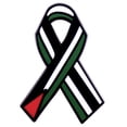thumbnail image 2 of Broche Con Forma Palestina Insignia Cinta Pin Ornamental para Fiesta, 2 of 4