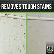 BLACKFIRE Pro Concentrate Instant Mildew Stain Remover Spray