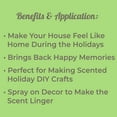 thumbnail image 2 of Plant Therapy Essential Oil | Spiced Cider Holiday Blend Oil | 100% Pure, Undiluted, Therapeutic Grade 10 mL (1/3 oz), 2 of 5