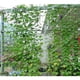 thumbnail image 3 of Soporte de planta de malla perfecl para plantas Trepadoras 1.8x1.8m, 3 of 8