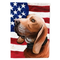 Carolines Treasures CK6683GF Sabueso Espanol Dog American Garden Size outdoor-flags, Multicolor