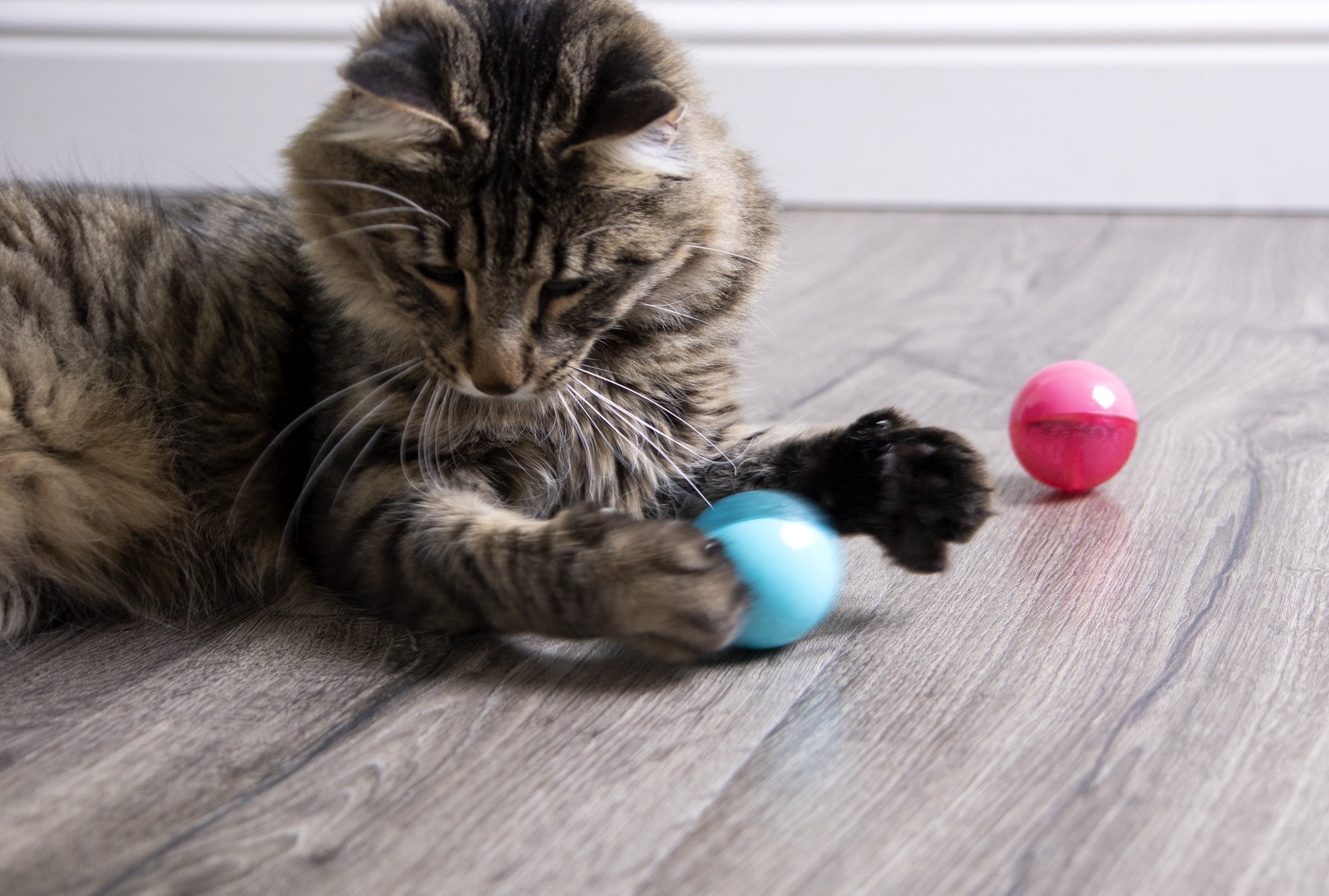 SmartyKat FlickerBall Electronic Light Cat Toy