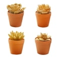 thumbnail image 1 of 4 Uds. De suculentas de simulación, bonsái, adornos creativos, plantas artificiales doradas, decoración interior, 1 of 5