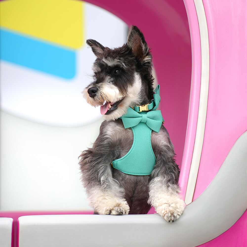 Didog Cute Small Dog Vest Harness & Collar & Leash & Poo Bag Holder set for Puppy Cats Pet Yorkie