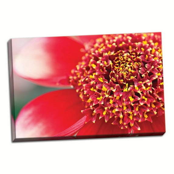 Gango Home Decor Starburst I by Dana Styber (Ready to Hang); One 36x24in Hand-Stretched Canvas