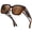 Brown Tortoise/Brown lens, variant on Oversized Polarized Fit-Over Sunglasses for Men and Women, UV400 Driving Shades