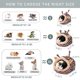 thumbnail image 4 of Chinchilla Hedgehog Guinea Pig Cama Accesorios Jaula Juguetes Dragón barbudo, 4 of 7