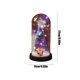thumbnail image 3 of Luz nocturna de árbol de Navidad brillante con domo de cristal - Decoración y regalo navideño de escritorio, 3 of 6