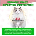 thumbnail image 3 of Urinary Tract Infection Treatment for Cats – 60 ML Cranberry UTI Supplement, 3 of 10