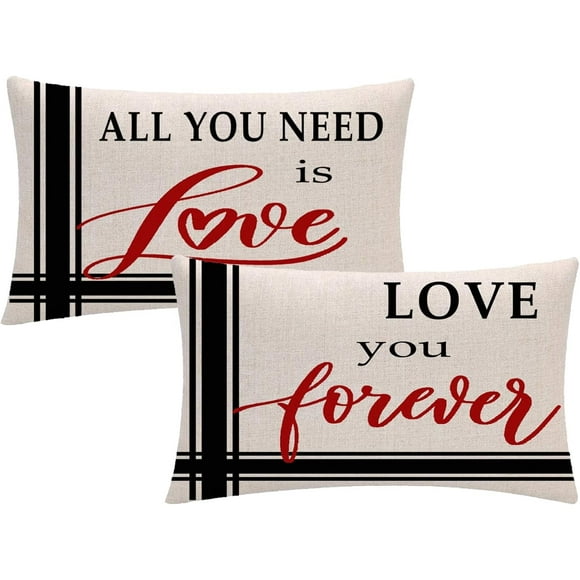 Lot de 2 Housse de Coussin Lombaire de la Saint-Valentin avec Tout Ce Dont Vous Avez Besoin Est Amour / Je t'Aime pour Toujours Housse de Coussin Rectangulaire/taille Cadeau Romantique Anniversaire Mariage Vacances Taies d'Oreiller 12x20