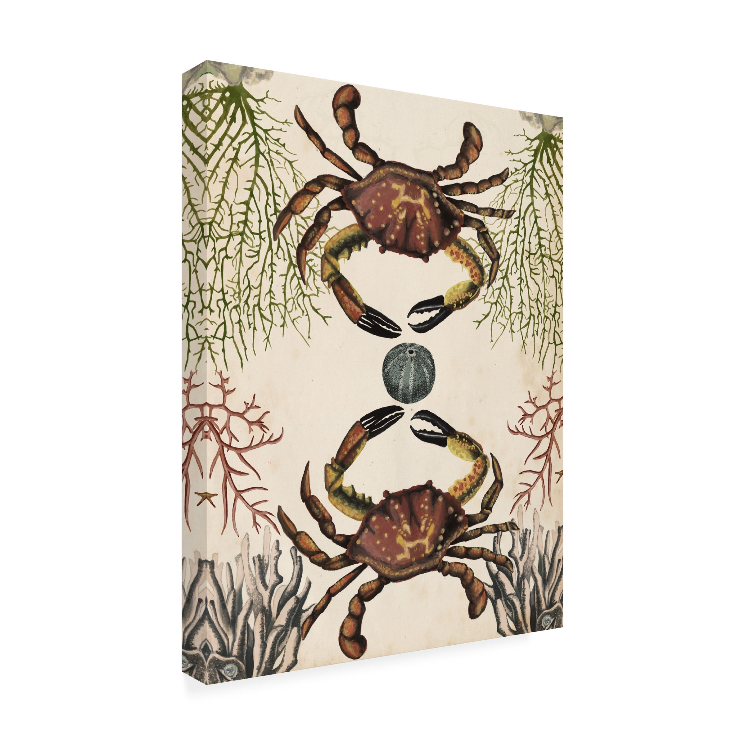 Naomi Mccavitt 'Antiquarian Menagerie Crab' Outdoor Canvas 24x18