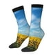 thumbnail image 1 of Balery Blooming Sunflower Field Calcetas Largas con Estampado para Hombre y Mujer – Suaves y Transpirables, Talla Única (US 5-11), 1 of 6