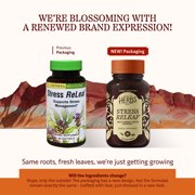 Herbs, Etc. Stress ReLeaf Softgels, Soothing Relaxation Support, 60 Count (60 Servings)